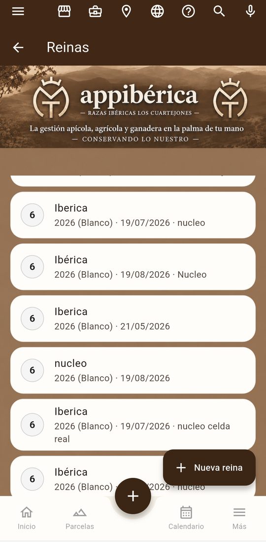 AppIbérica: control de reinas